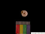 L_V22d6530 A16q828.2 Tx06 dM sh f313